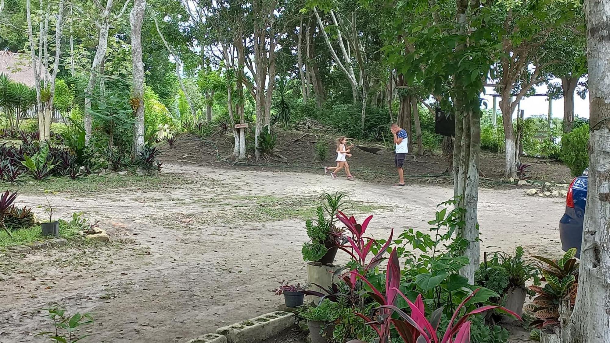 Otoch Beek Calakmul Bed & Breakfast Chicanna Oda fotoğraf